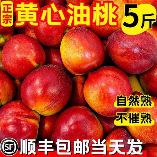 黄心油桃顺丰包邮送货上门！