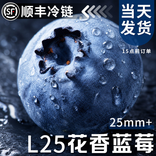 L25花香蓝莓顺丰送货上门