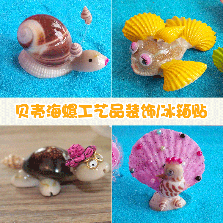 贝壳海螺工艺品博士乌龟草帽