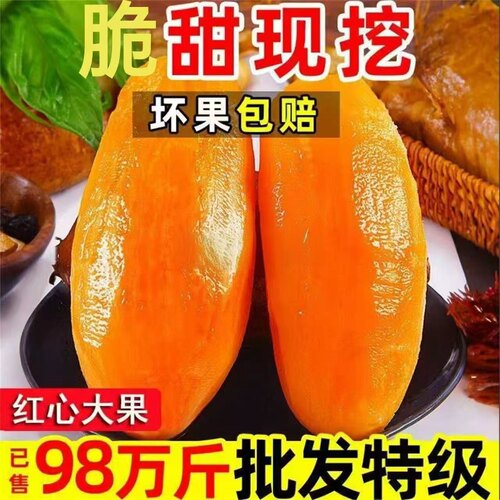 云南天山雪莲果红心一级
