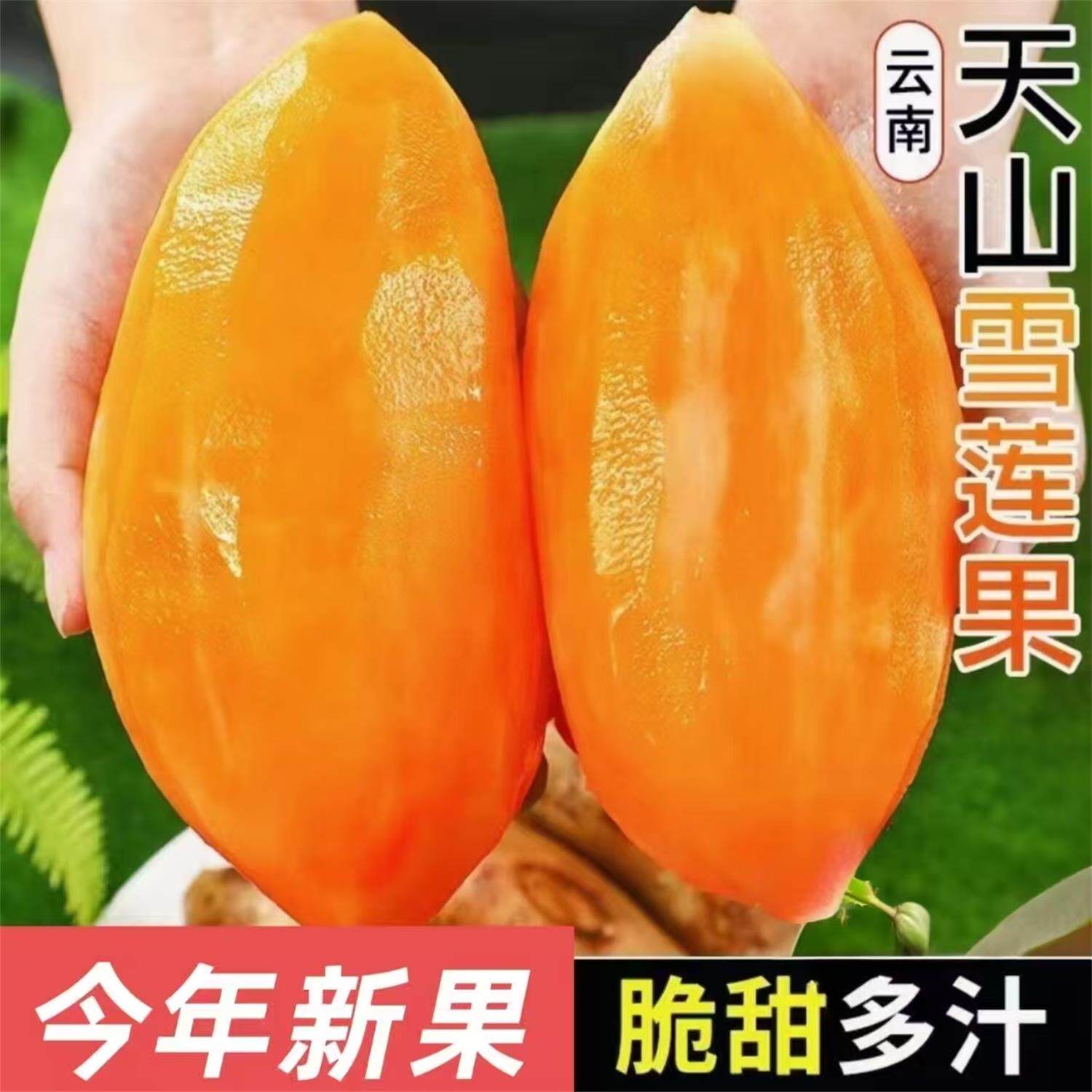 今年新果云南天山雪莲果红心一级当季整箱孕妇低糖新鲜水果脆甜