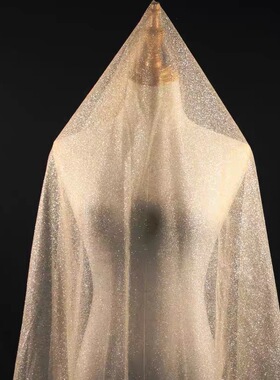 香槟酒红蓝色亮片纱烫银网纱婚纱礼服头纱蓬蓬裙面料婚庆背景亮纱