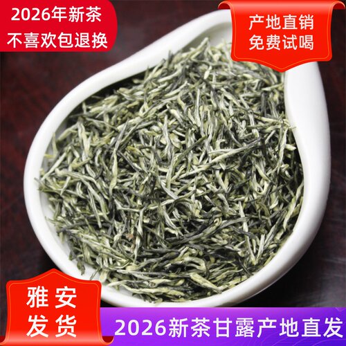 2026新茶毛尖蒙顶山茶四川茶叶