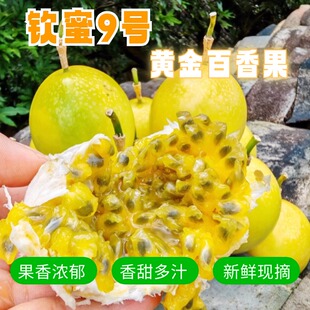 广西黄金百香果时令新鲜现摘钦蜜9号纯甜百香果当季水果孕妇水果