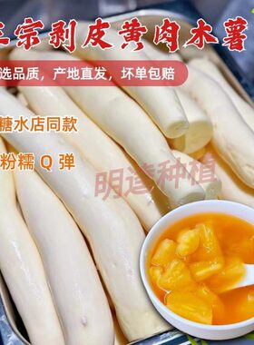 广西去皮黄肉木薯当季新鲜现挖黄心面包木薯羹糖水店蛋黄板栗木薯