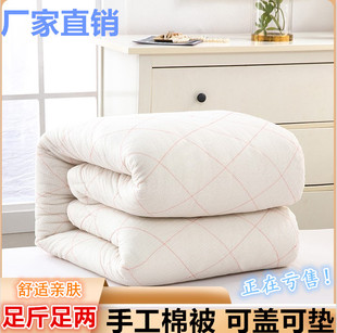 棉被棉絮学生宿舍床垫被单人被子被芯春秋加厚双人冬被保暖被褥子