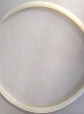 上海申安LDZH-100KBS立式压力蒸汽灭菌器消毒锅配件密封圈胶垫