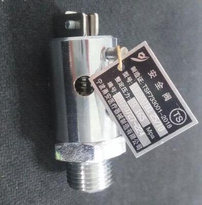 宁波甬安排气阀整定压力0.165MPa 0.25/10申安机器