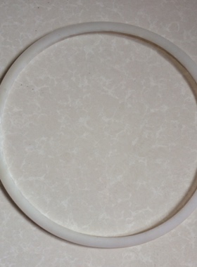 江阴滨江LS-50HD 75HD 100HD立式医用高压消毒器灭菌锅配件密封圈