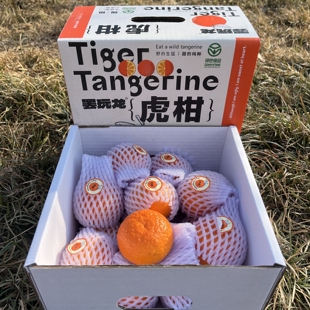 虎柑云南高原沃柑4斤礼盒当季新鲜水果诸小沃哀牢山纯甜沃柑顺丰