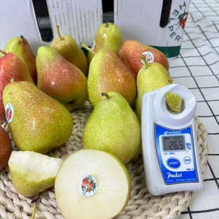 智利啤梨彩啤梨太婆梨2斤水润面甜比利时啤梨甜化渣一梨二吃