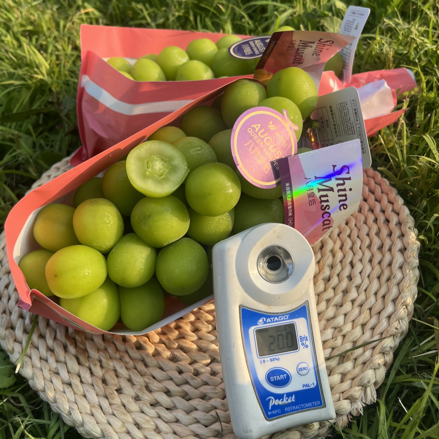 毅萃鲜八月皇后中国晴王阳光玫瑰