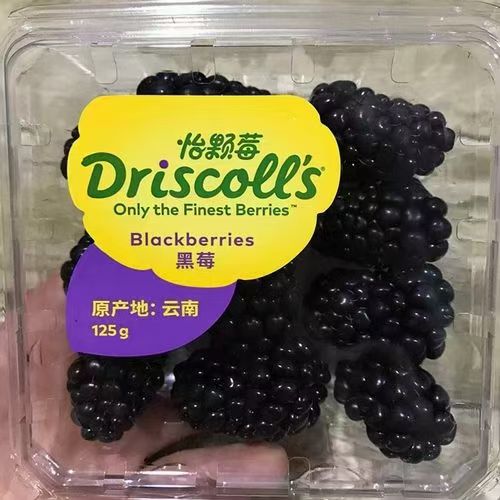 【云南黑莓】Driscoll's怡颗莓黑莓新鲜水果鲜果季酸甜顺丰快递