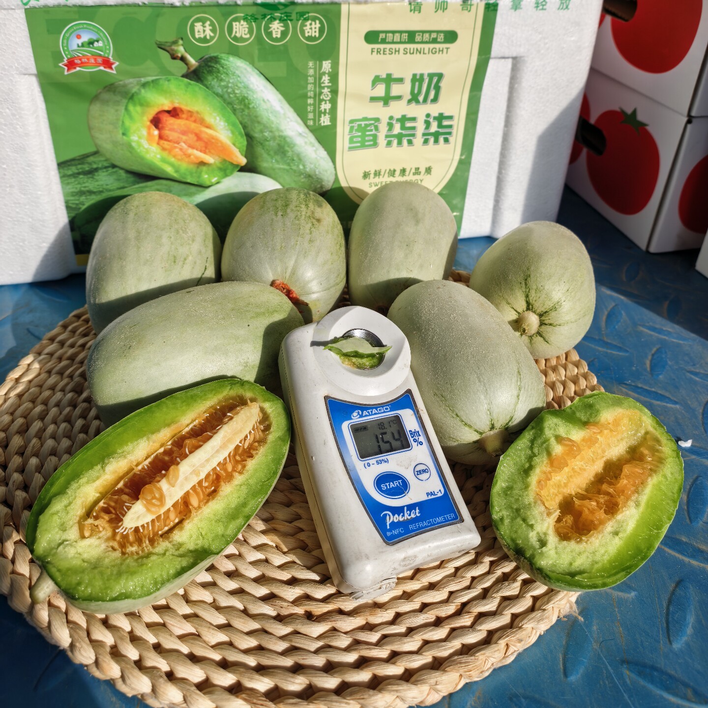 新品种蜜柒柒牛奶脆宝蜜瓜蜜源18号酥脆香甜香瓜顺丰快递