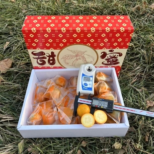 双特大果）第三代广西融安脆蜜金柑免洗独立包1.5 斤礼盒金桔顺丰