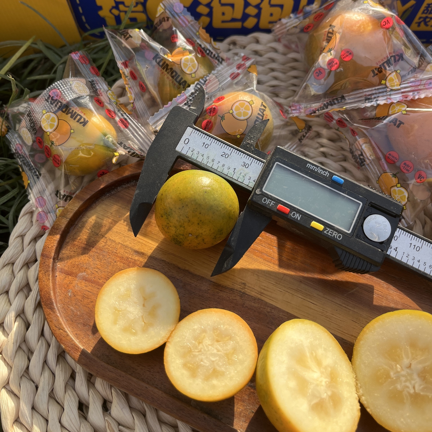 融安脆皮金桔第三代桔顺丰快递