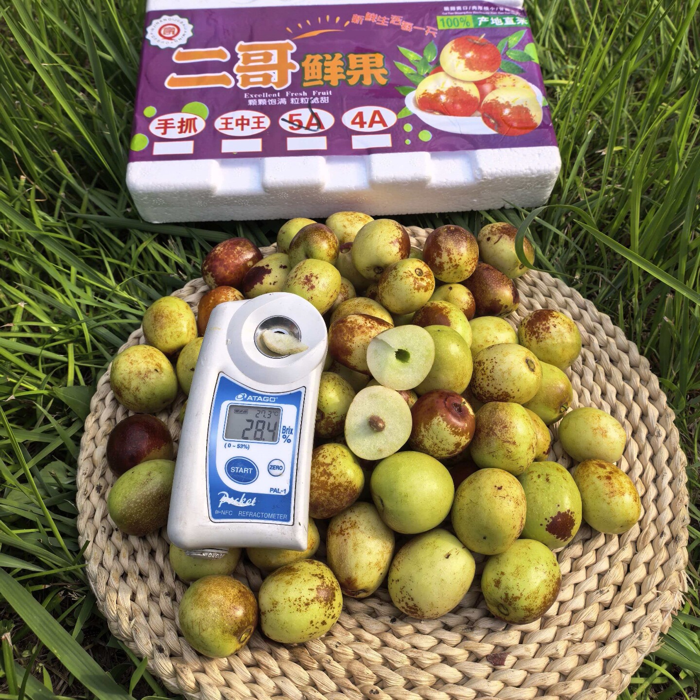 陕西大荔冬枣1.9斤 脆甜 枣子 当季新鲜 顺丰快递