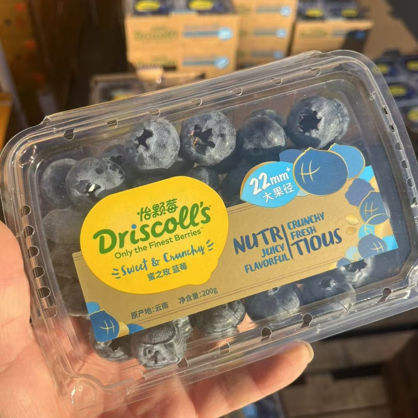 Driscoll's怡颗莓金标蓝莓云南超大果22+高端款蓝莓新鲜水果顺丰,水产肉类/新鲜蔬果/熟食,蓝莓,淘宝优惠券,粉丝福利购,淘宝优惠卷