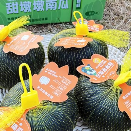 南小萌甜墩墩山东板栗南瓜礼盒装粉糯甜新鲜蔬菜宝宝辅食顺丰