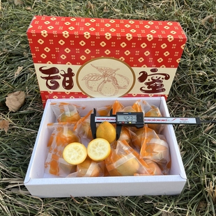 三特大果 第三代广西融安脆蜜金柑免洗独立包1.5 斤礼盒金桔顺丰