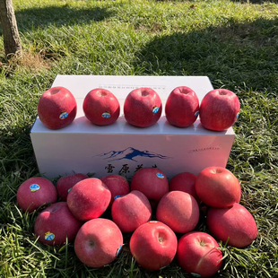 雪原红富士苹果 全红鉴赏型甘肃静宁红富士天水苹果脆甜适合孕妇