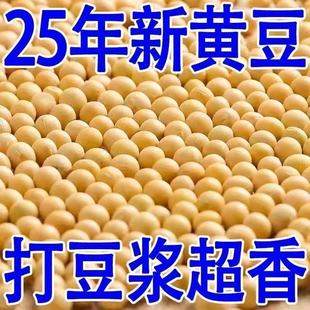 黑龙江25年新黄豆5斤土黄豆打豆浆专用高含量蛋白东北老品种优质