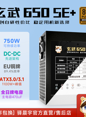 驿晨宇玄武650SE+额定650W可持续750W铜牌直出全日系主机电源