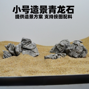 青龙石鱼缸造景英石水草缸景观水陆缸假山石沉木骨架莫斯树搭配