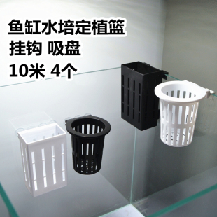 鱼缸水培定植篮壁挂固定架植物水培植物绿萝水生水草缸装 饰红薯杯