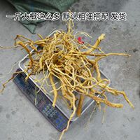 Rhododendron root branches, roots, driftwood, driftwood frame, aquatic plant tank, landscape material, raw material, finished product, purple teak, root and base thumbnail 2