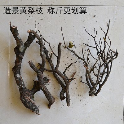 黄梨枝沉木鱼缸造景南美原生溪流缸沉木条树叶杜鹃根称斤香槟木桩