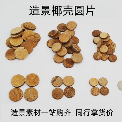 椰壳圆片造景素材莫斯树制作