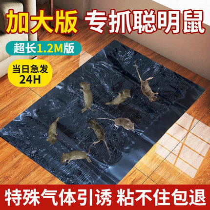 强力老鼠贴粘鼠板魔毯一窝家用端抓大老鼠夹粘鼠胶正品驱捕鼠神器