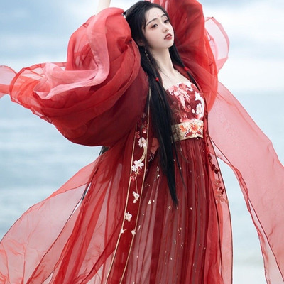 唐制刺绣汉服女大袖衫诃子裙