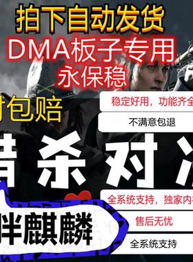 DMA猎杀对决辅助科技原力Hunt: Showdown魔法大号1896板子专用