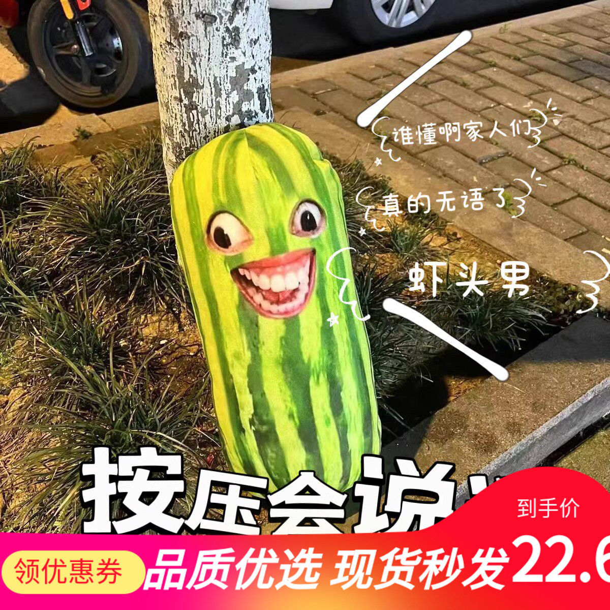 抖音家人们谁懂啊带语音