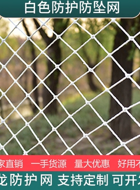兜网钢结构防护网隔离网防风网场地围网防猫防坠网白色尼龙网绳网