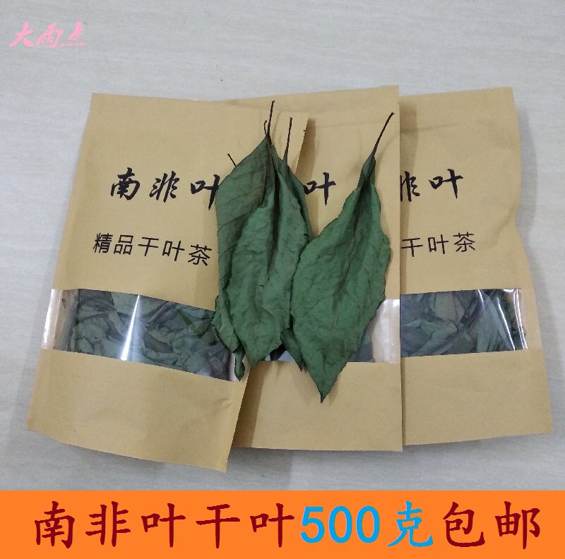 500克包邮南非叶干叶马来西亚新鲜药王叶茶树苗黑将军叶农家种植