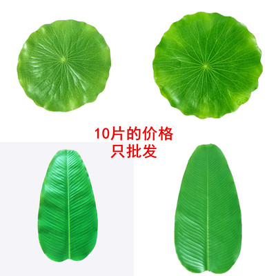 仿真芭蕉叶荷叶摆盘装饰