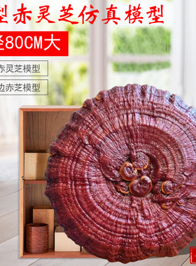 特大仿真模型厘米灵芝金边摆件