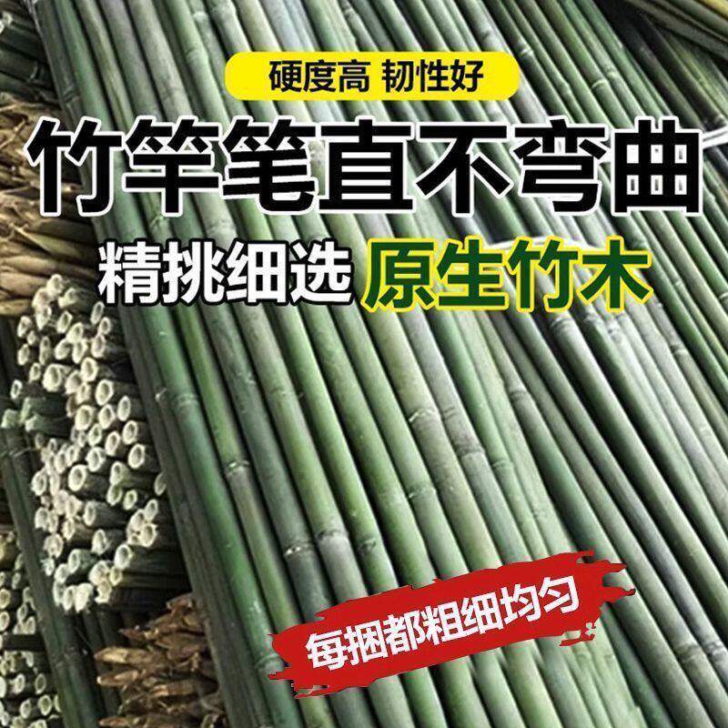 竹竿菜园搭架竹子户外旗杆黄瓜豆广告旗杆