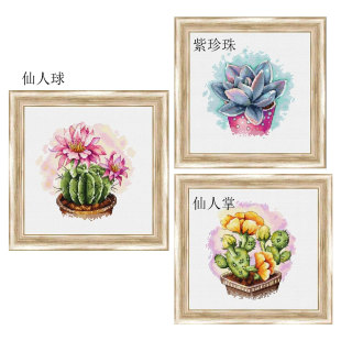 R线小小鱼十字绣套件 B1585漂亮的多肉植物 仙人掌三幅手工缝纫