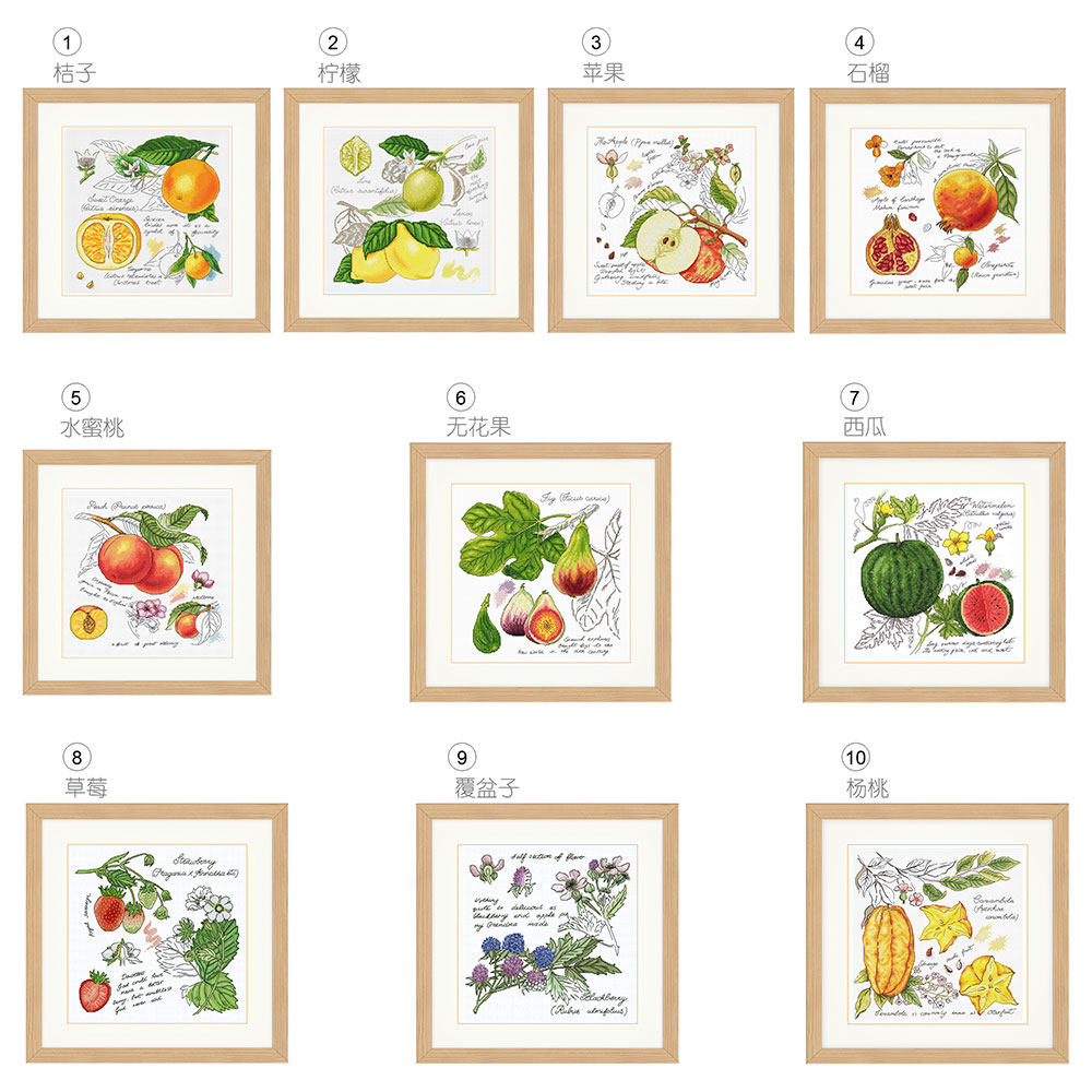 新品刺绣套件小小鱼十字绣 s346阴影水果杨桃西瓜餐厅多联手工diy