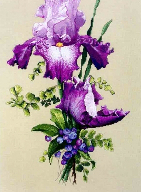 DMC绣线小小鱼B618 花卉紫色鸢尾花田园风书房十字绣套件亚麻绣布