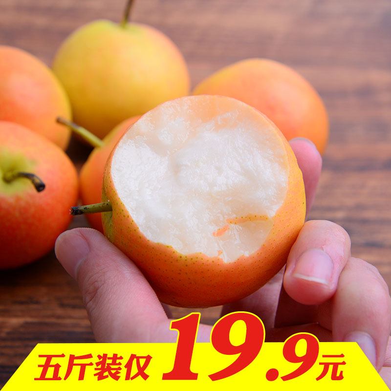 ÁÉÄþ°°É½ÄϹûÀæÕý×ÚÄϹúÀæ¶«±±Ìزú10Àæ×ÓÐÂÏÊË®¹ûÏãË®Àæ5½ï°üÓÊ