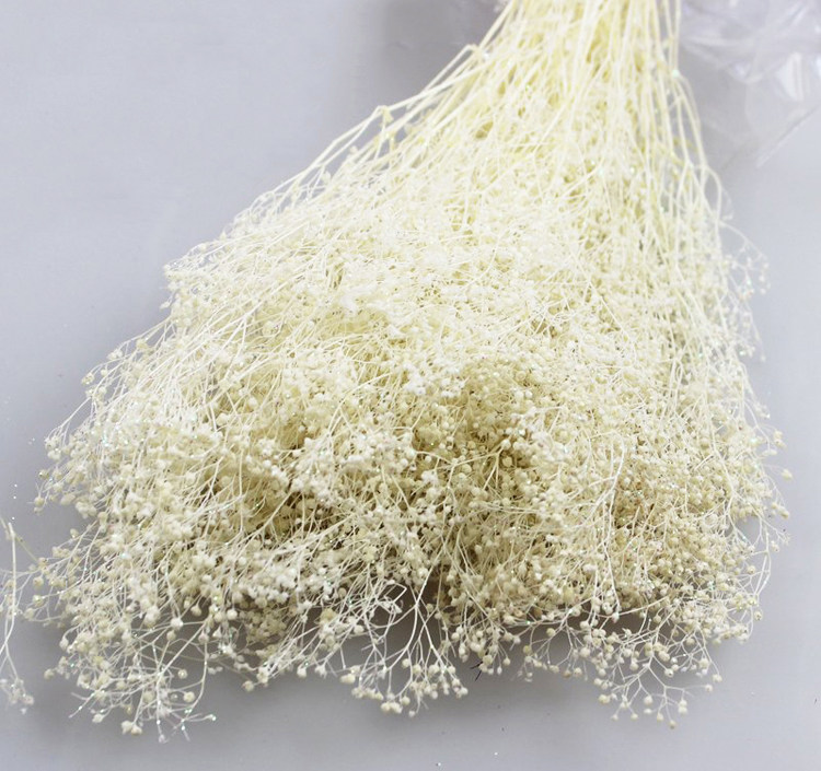 永生花diy材料包1克装满天星干花白万星霞草新娘头发饰圣诞节礼物在类目 鲜花速递/花卉仿真/绿植园艺, 永生花/干花, 永生花中 - 来自Buy2taobao.com提供专业的淘宝代购服务