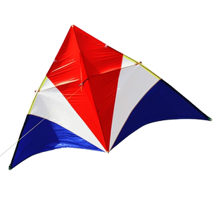 新品潍坊王侉子544软伞布碳杆微风大型成人好飞长尾风筝线轮