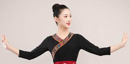 特卖新款藏族广场舞半身裙藏族舞蹈演出服装上衣藏式练功服藏舞练