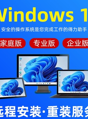 远程win10系统重装专业版 windows11纯净版电脑安装升级维修服务