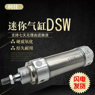 圆形迷你气缸DSW-63-25-40-50-80-100-160-200-300-320-PPV-A-B